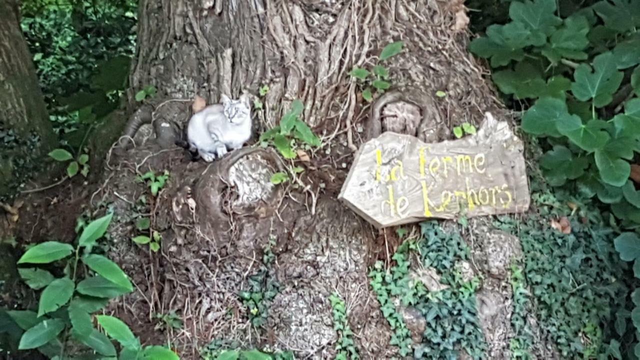 La Ferme De Kerhors Hotel Tréméoc Eksteriør billede